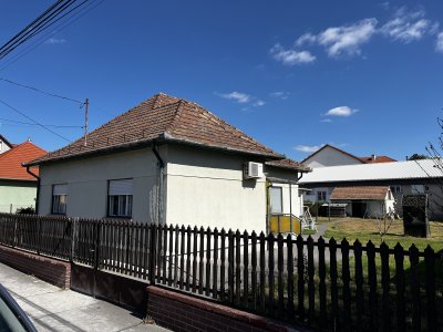 Ház