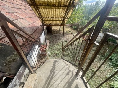 Ház