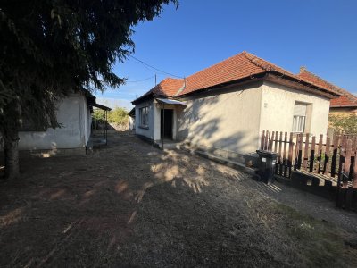 Ház