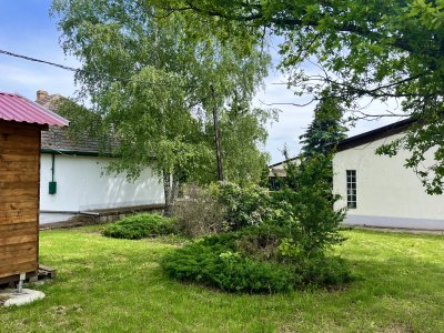 Tanya - kúria