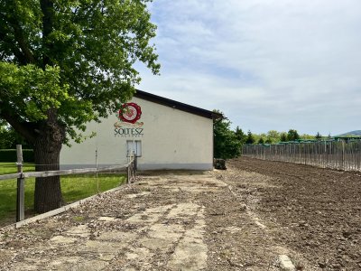 Tanya - kúria