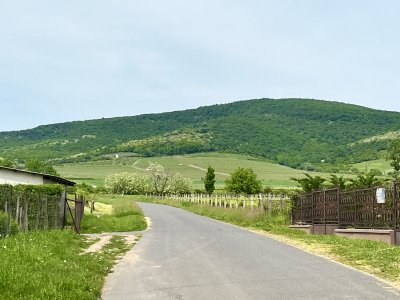 Tanya - kúria