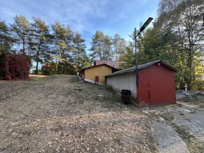 Borozó, söröző, büfé
