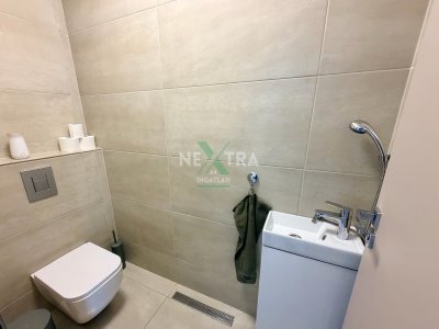 Ház
