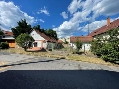 Ház