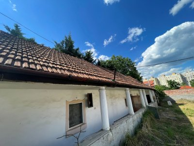 Ház