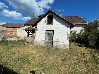 Ház