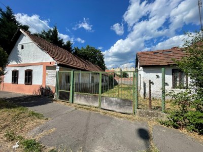 Ház
