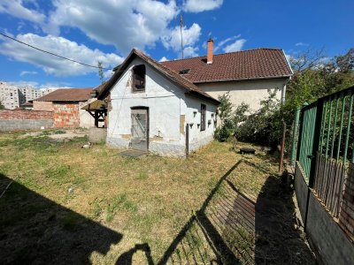 Ház