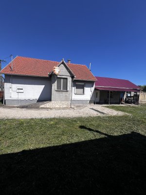 Ház