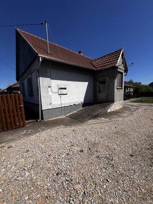 Ház