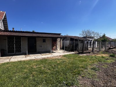 Ház