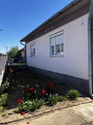Ház