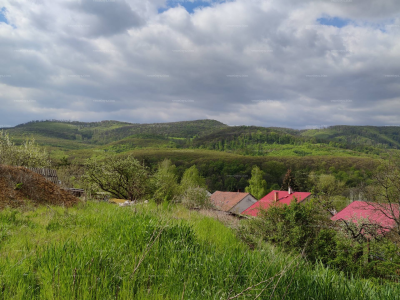 Ház