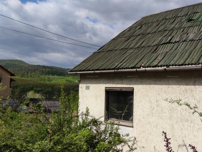 Ház