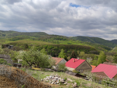 Ház