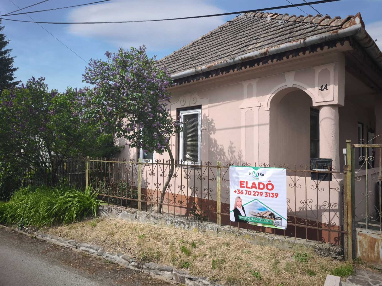 Ház