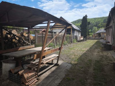 Ház