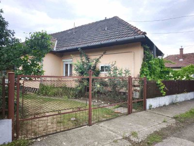 Ház