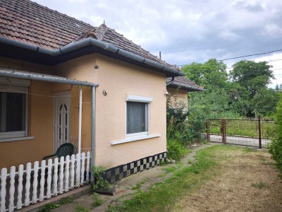 Ház