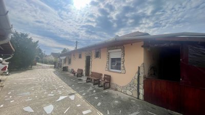 Ház
