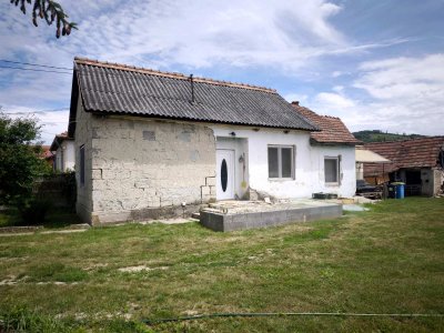 Ház