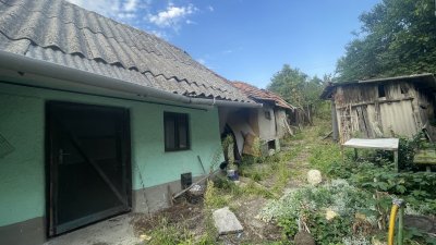 Ház