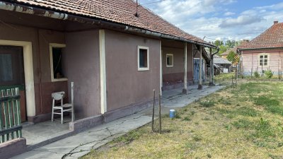 Ház