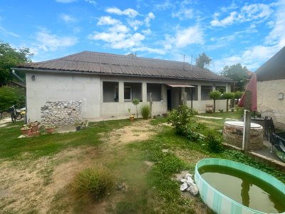 Ház