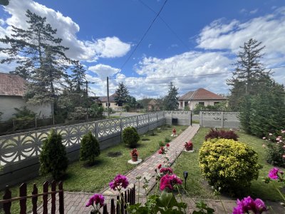 Ház