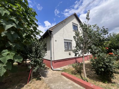 Ház
