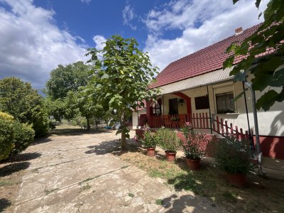 Ház