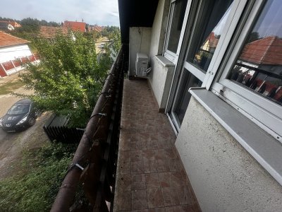 Ház