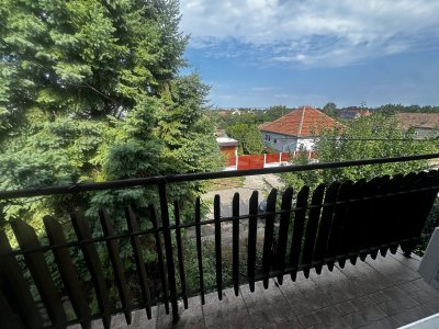 Ház