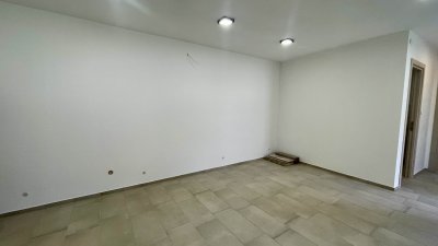 Ház