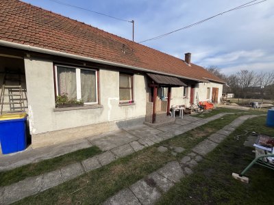 Ház