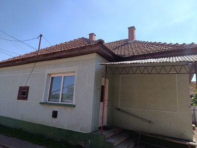 Ház