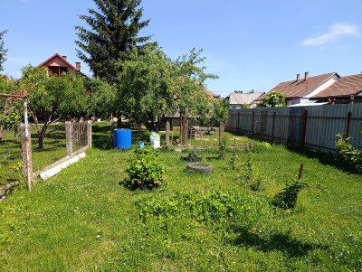 Ház