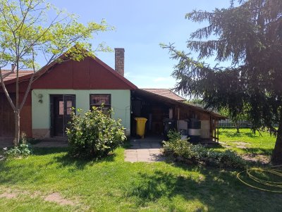 Ház