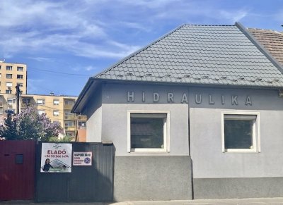 Ház
