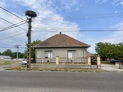 Ház