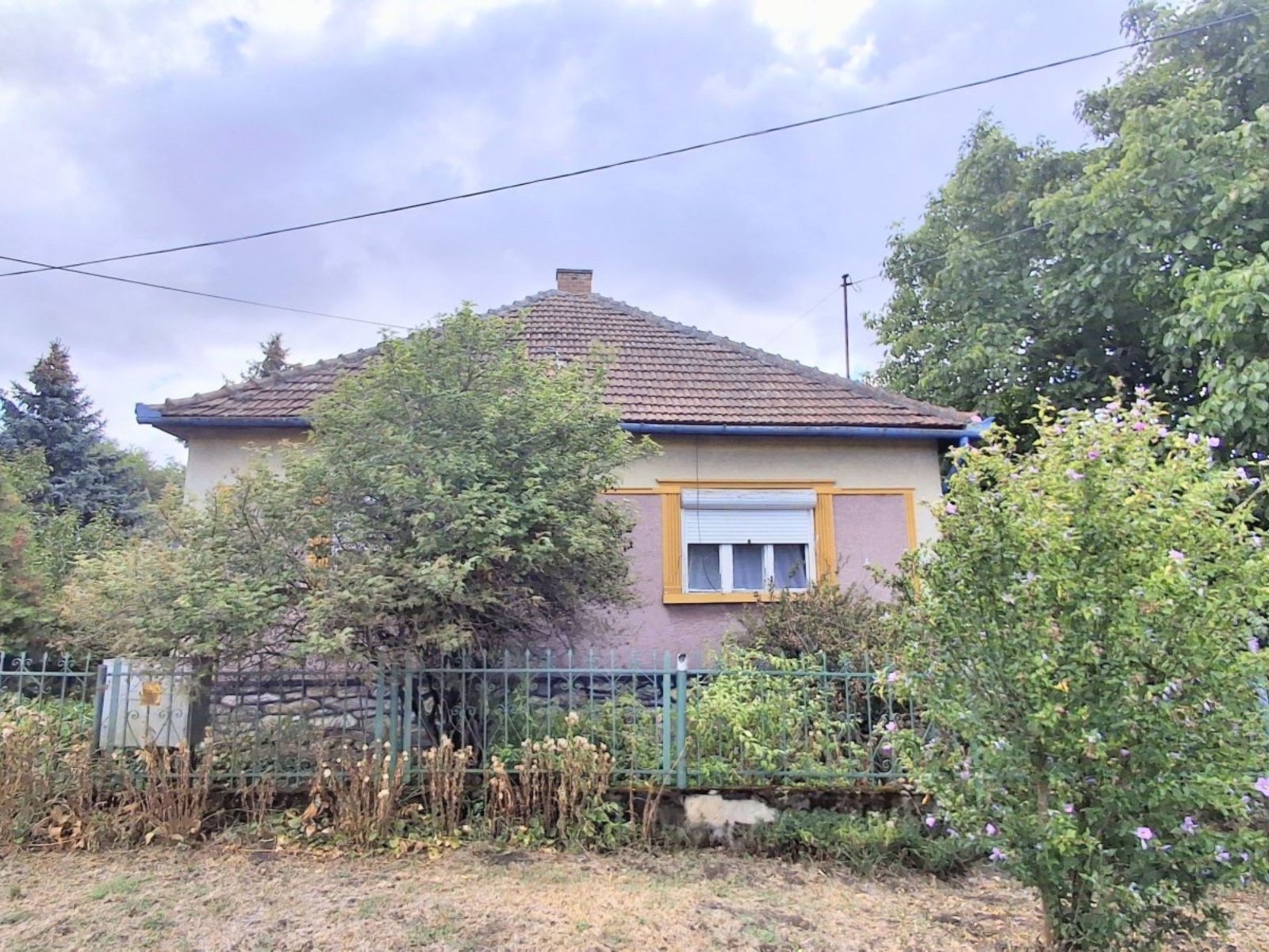 Ház