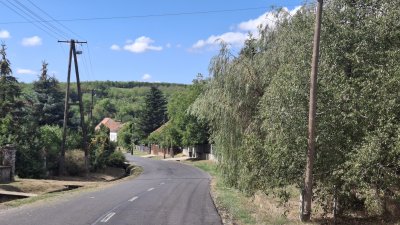 Ház