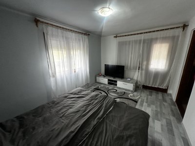 Ház