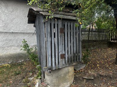 Ház