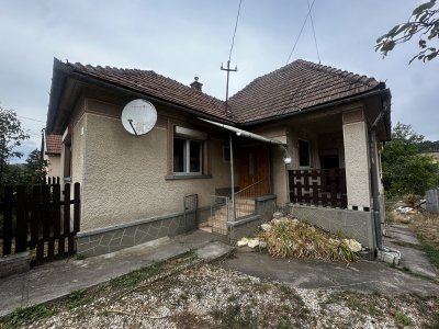 Ház