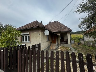 Ház