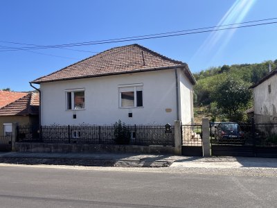 Ház