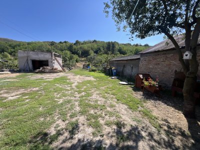 Ház
