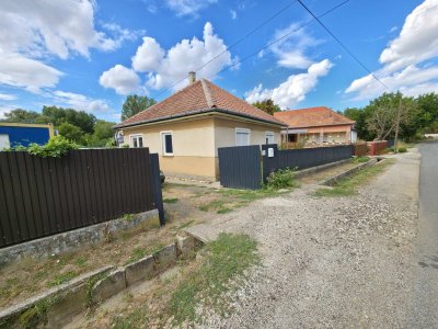 Ház